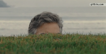 source.gif