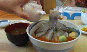 squid.gif