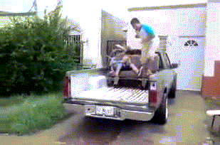 ZsbHOGc.gif