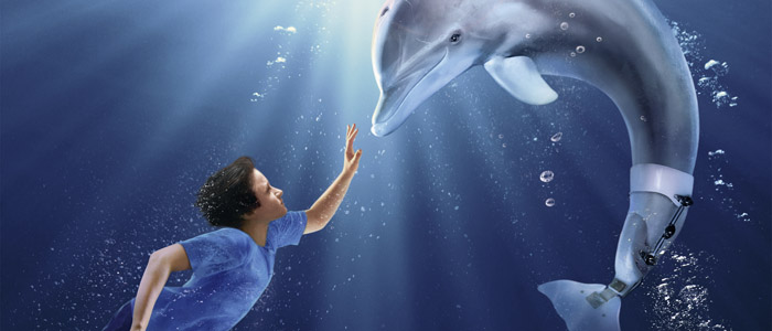 Mein-Freund-der-Delfin-Artikelbild.jpg