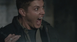 tumblr_lfwmybVQcv1qzabd0.gif