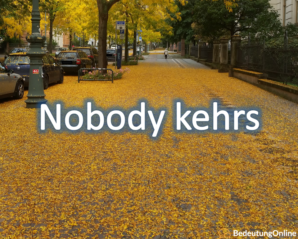 Nobody-kehrs.png