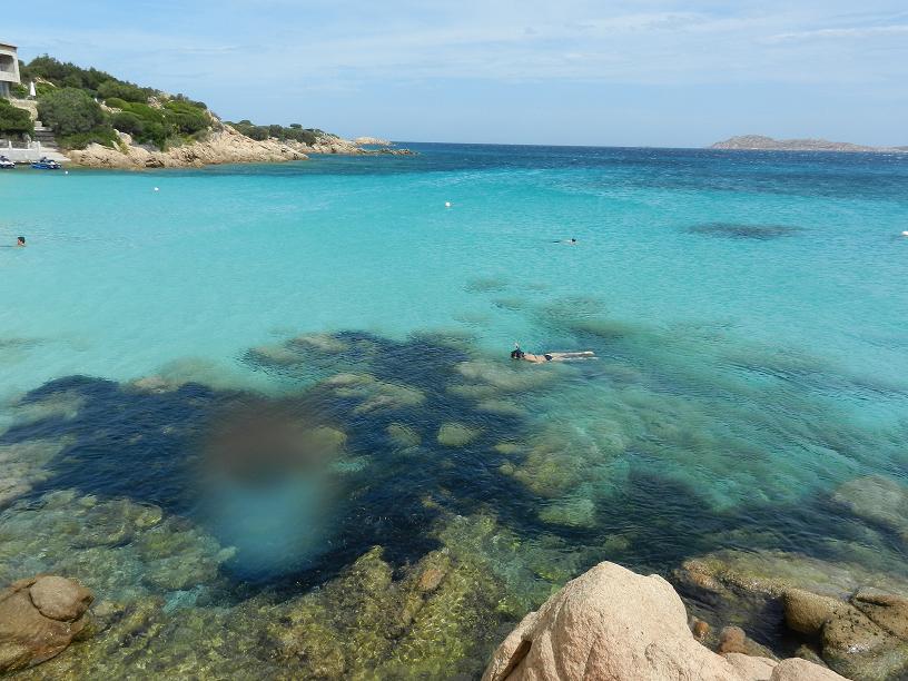 c7551mxrf0loe4e7v.jpg