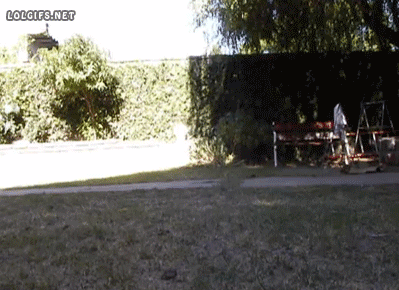 2z18jqM.gif