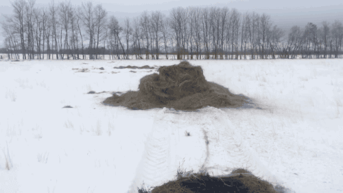 tumblr_o4etq1Z1xZ1s02vreo3_500.gif