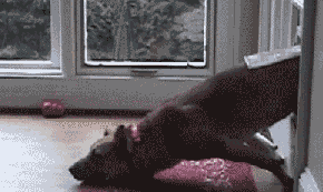 yf0rjqA.gif