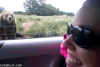 TXrOO.gif