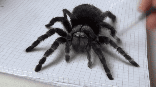 tumblr_nrygp3VvA01s02vreo5_500.gif