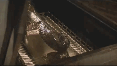 sKEvUiU.gif