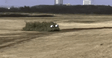 tumblr_inline_nw32aoqu7N1t8es98_500.gif