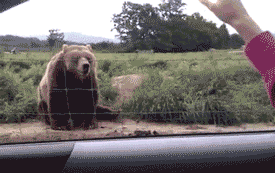 tumblr_lw5wkqbJuy1qfhf8ao1_400.gif