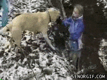 Q3nMJ.gif