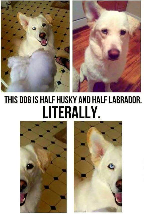 picdump459_75.jpg
