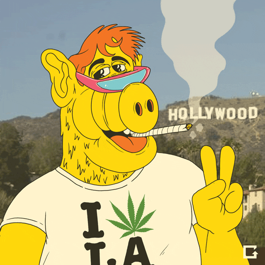 giphy.gif