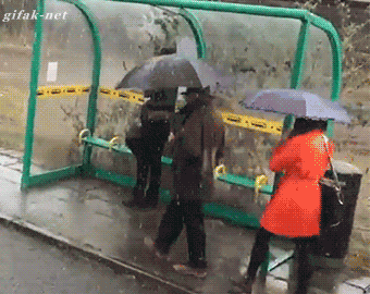 tumblr_ohy4tb0EnU1vjw26lo1_400.gif