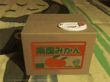 tumblr_lrt834wujz1qmhzzmo1_400.gif