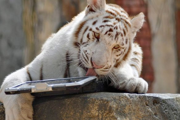 062509_zoo_3.jpg