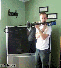 giphy.gif