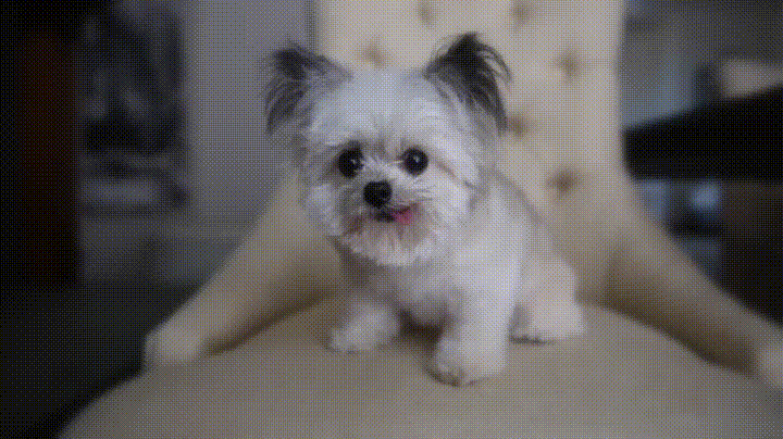NyBD3FY.gif