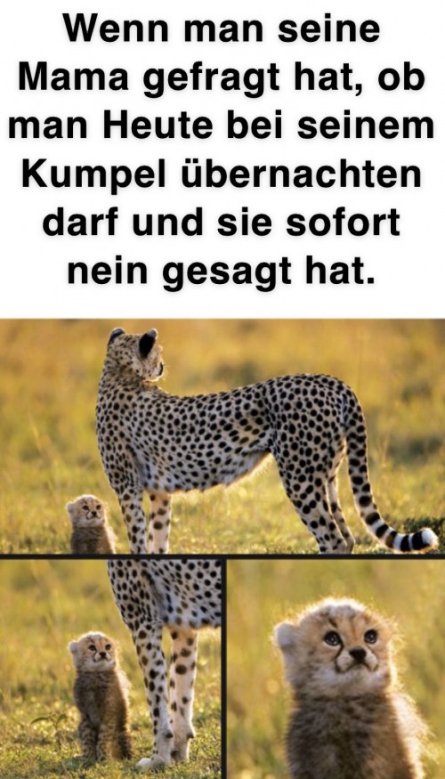 iNlDpzg.jpg
