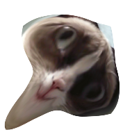 cfvi2jlwiktpq1ps8.png