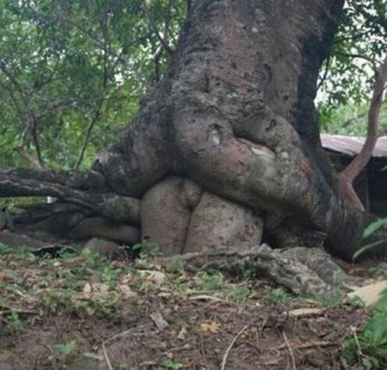 picdump-14-04-18-205.jpg