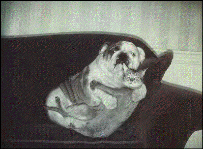bph5z45cqujftjv3w.gif
