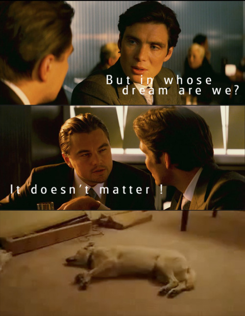 tumblr_l6ac5ln5cP1qc6fjto1_500.jpg