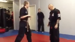 Ib1wXNQ.gif