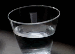1z6og2jpg.gif