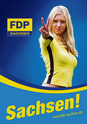 FDPWahlplakat2008.jpg