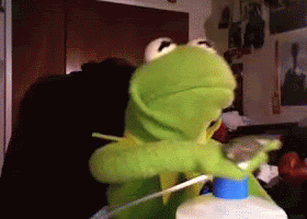 kermit-masturbate.gif