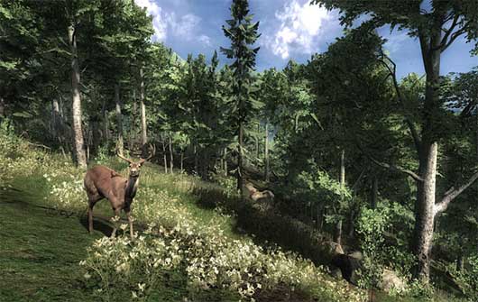cp69192,1293905317,the_hunter_01.jpg