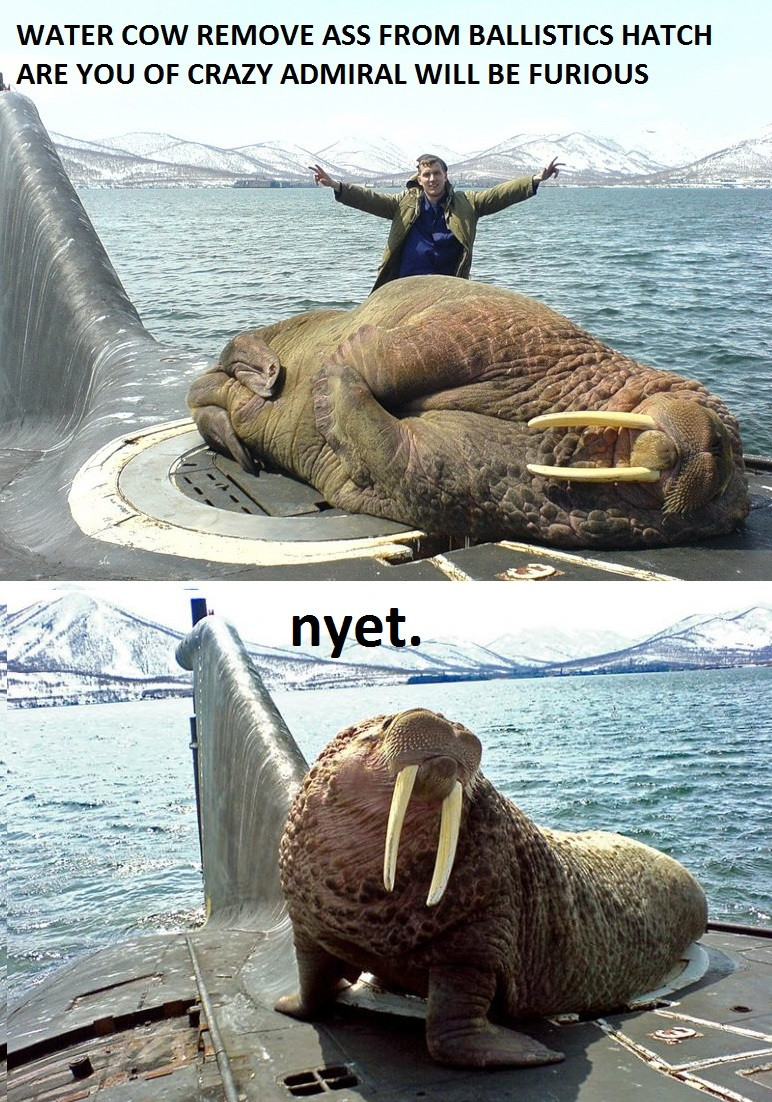 2sQDvkR.jpg