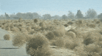 200w.gif